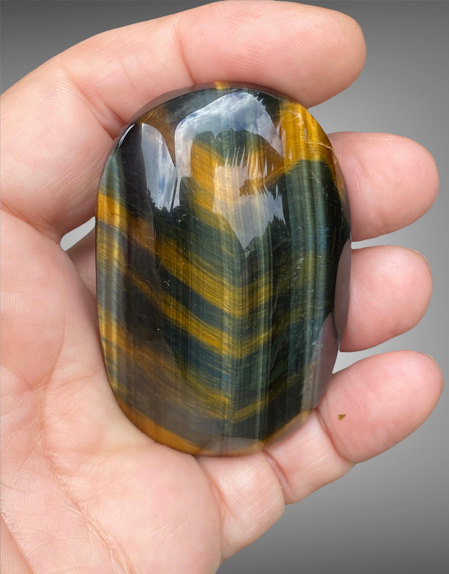 Natural Crystal Palm Stone Varieties